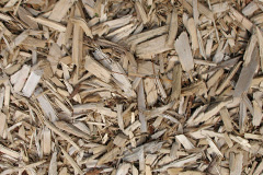 biomass boilers Dundyvan